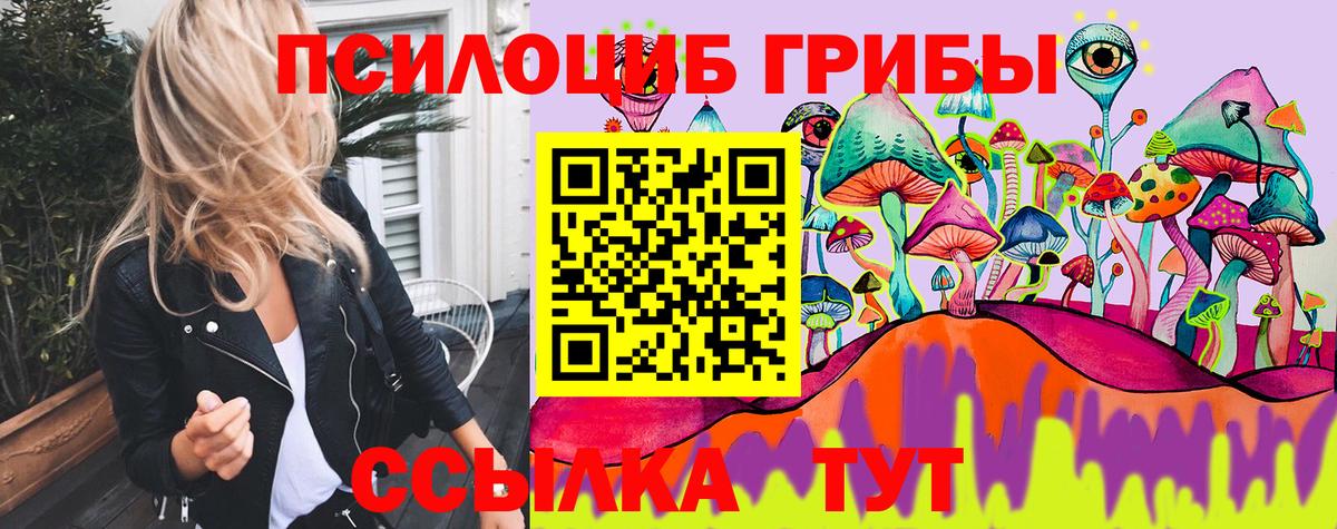 Псилоцибиновые грибы GOLDEN TEACHER Бор